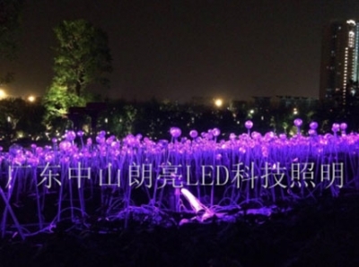 光纖蘆葦燈-螢火蟲(chóng)燈 GX-41